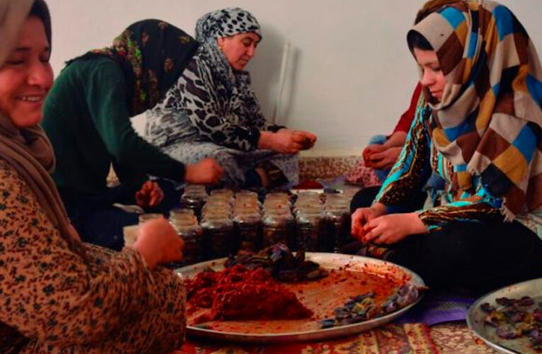 Una nueva economía derrotando la guerra: cooperativismo feminista en Kurdistán