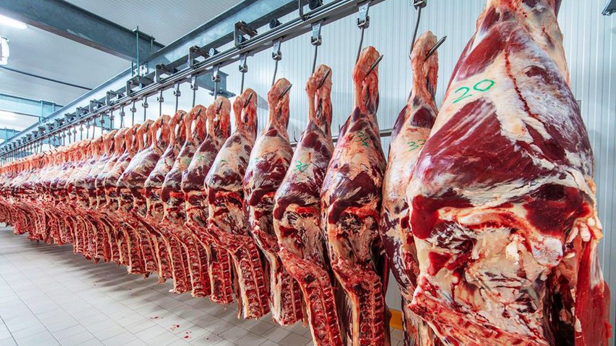 Crisis de consumo de carne: “El problema es privilegiar la exportación”